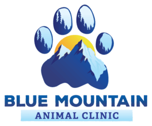 Blue Mountain Logo