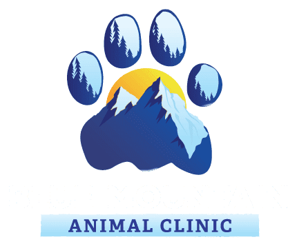 Blue Mountain Logo White Text