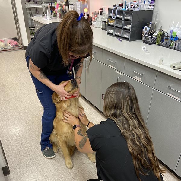 Staff Members With Golden Retriever