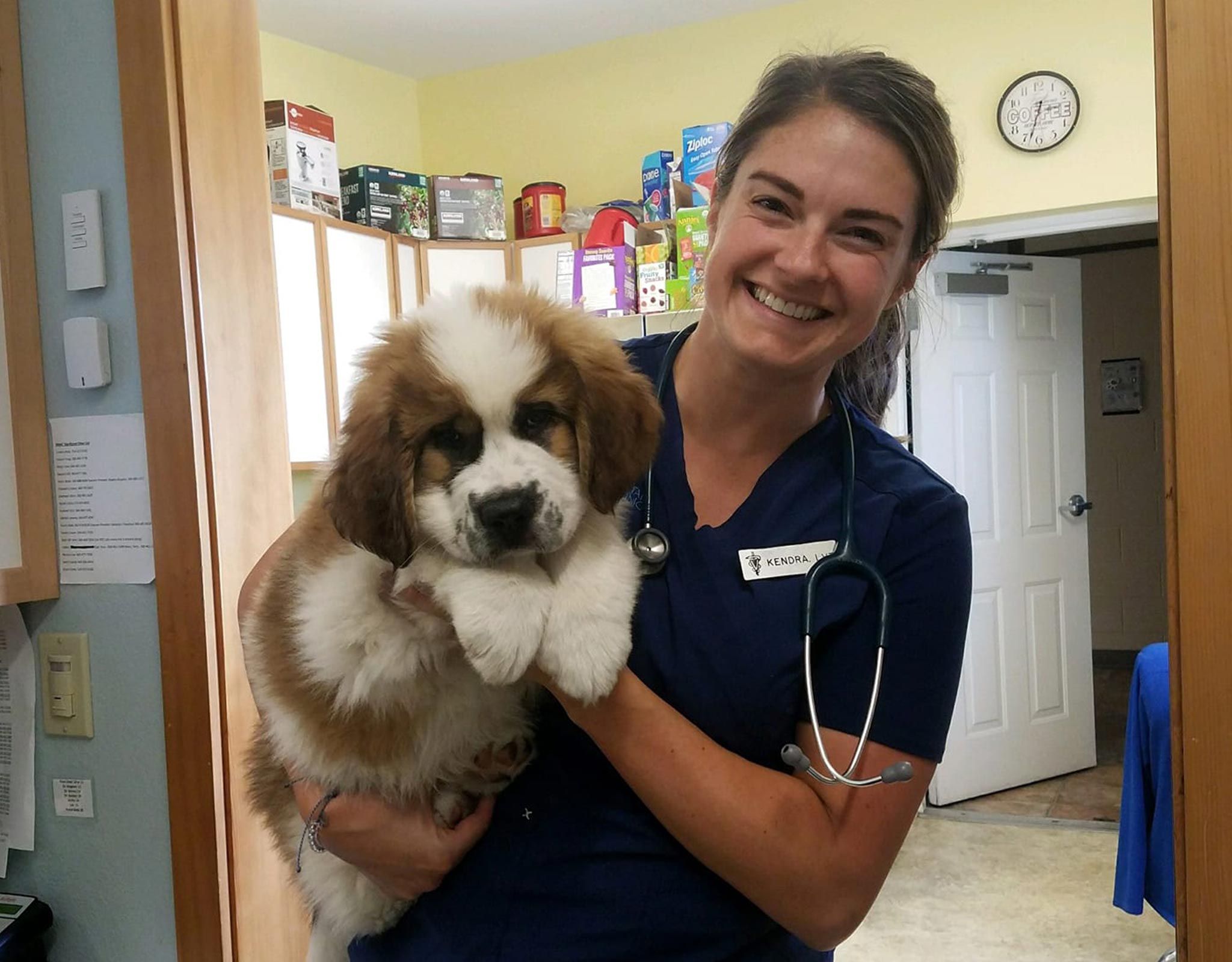 Video Tour And Gallery Of Blue Mountain Animal Clinic