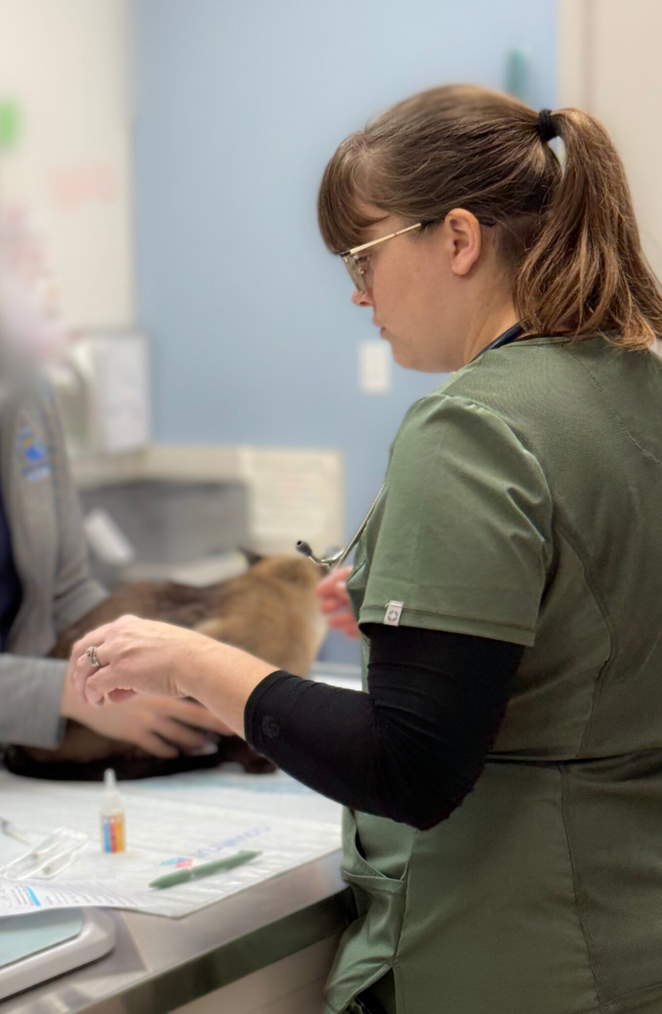 Senior Pet Care and Euthanasia Services