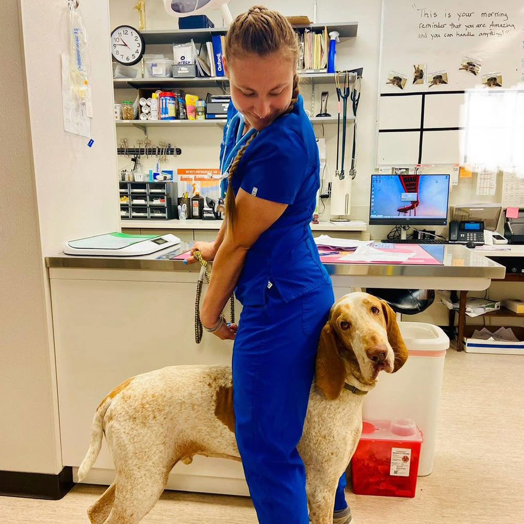 female staff member smiling down at large dog indoors